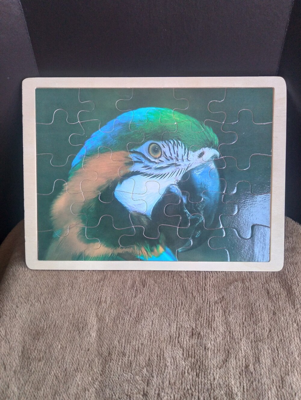 Colorful Macaw Wooden Puzzle - Green & Blue Bird Design